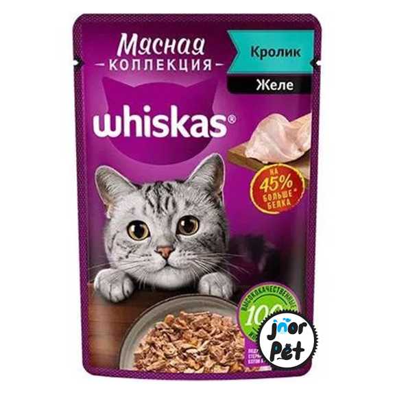 پوچ ویسکاس روسی خوش خوراک خرگوش