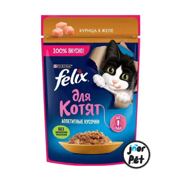 پوچ فلیکس روسی کیتن مرغ و پنیر در ژل