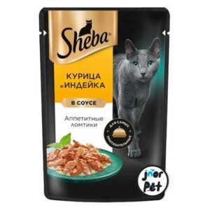 پوچ شبا مرغ و بوقلمون
